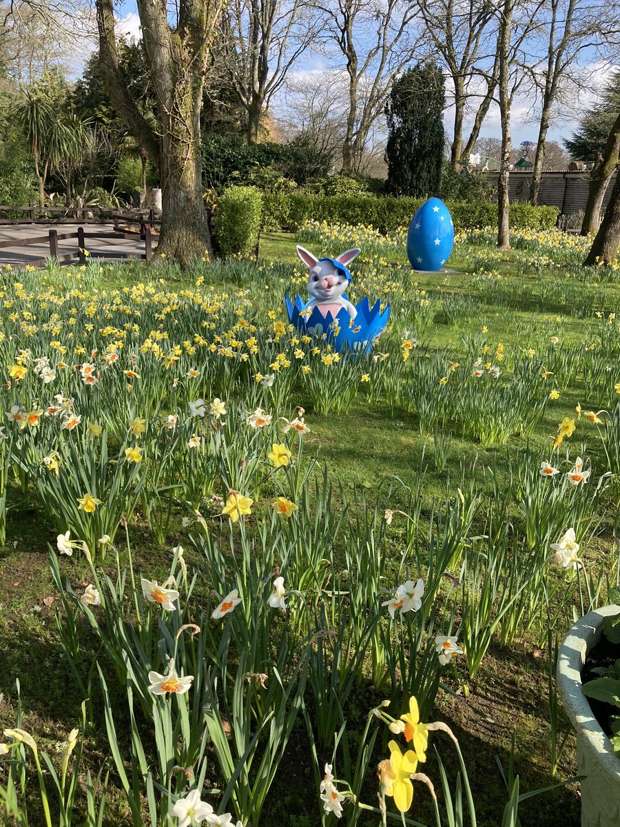 TeamFour's tweet image. I have spent 7 hours at Peppa Pig World with my niece &amp;amp; brother today. I now have a very large gin &amp;amp; tonic….