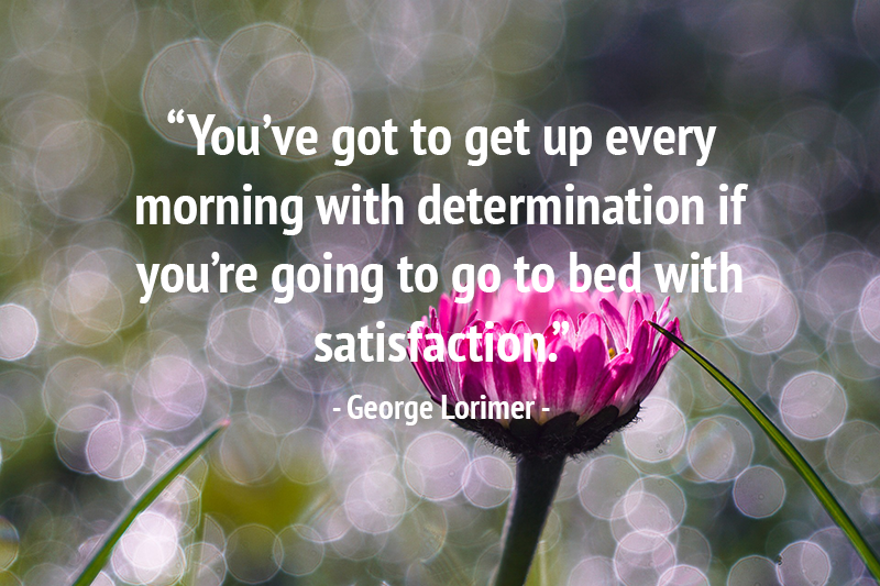 YMCA Blue Water Area tweet media