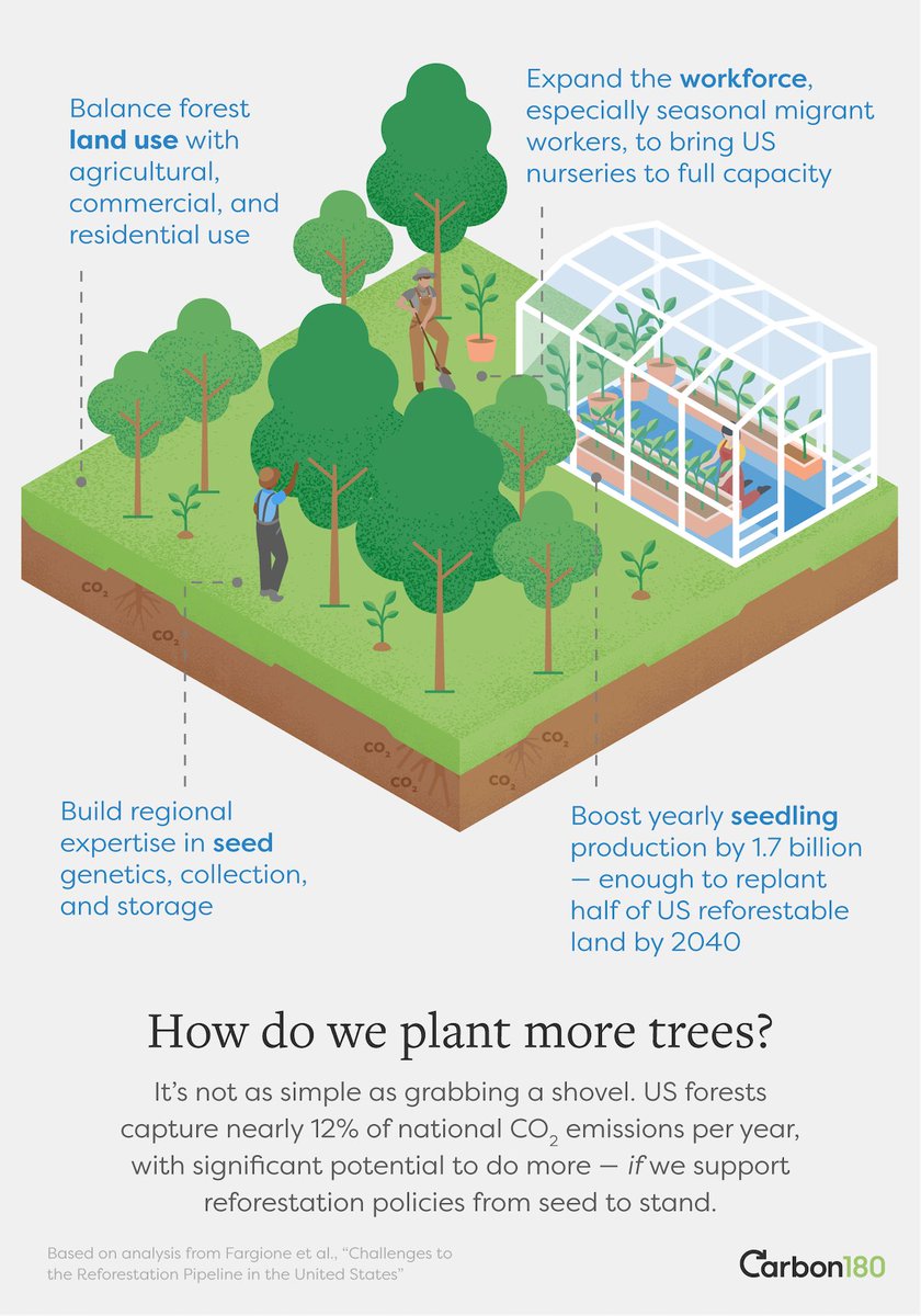 carbon_180's tweet photo. 🌳When it comes to removing CO2, nobody’s got a longer track record than our forests — but their full potential remains untapped. That’s why we’re pushing for a holistic, science-based approach to reforestation in the Farm Bill 🧵 https://t.co/G49LwHzTsZ