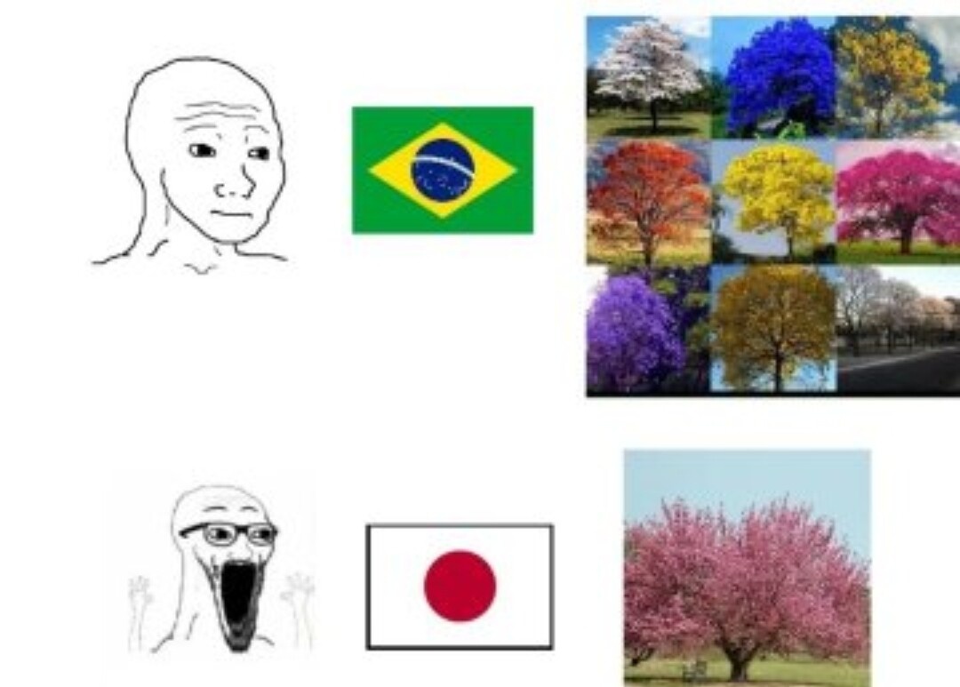 Shitpost só que de verdade tweet media