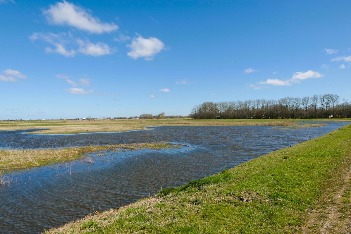 JanEichhorn1's tweet image. Op stap in het #Kruiszwin in Anna Paulowna, een van de prachtige natuurgebieden van Landschap Noord-Holland 

#HollandsKroon