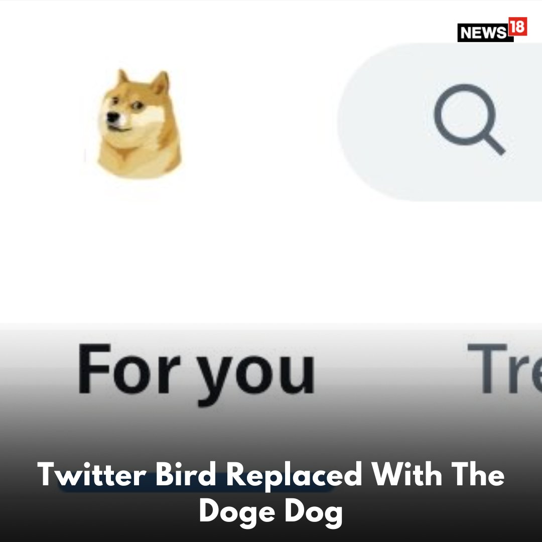Twitter bird has been replaced with the #Dogecoin dog #Elonmusk #twitter # doge #dog