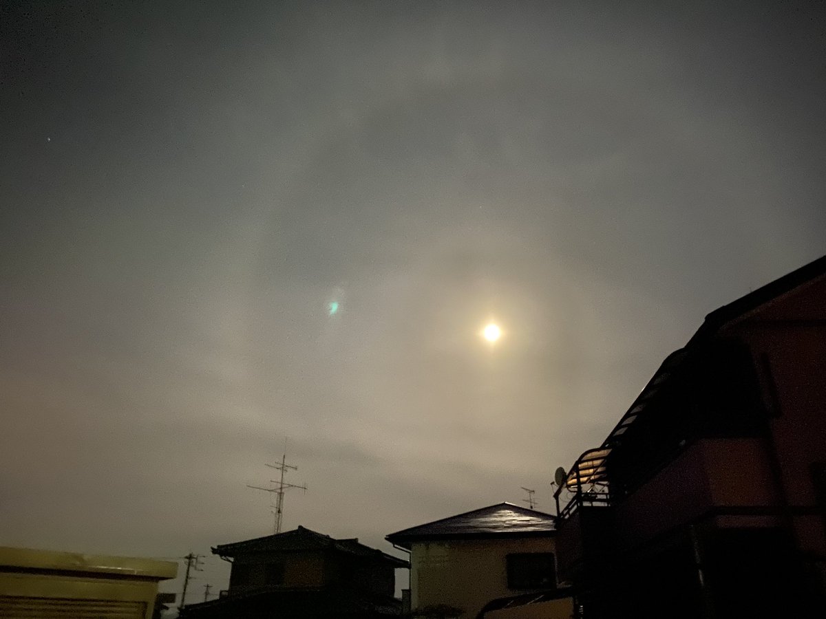 セポケㄘゃƕ🍄 tweet media