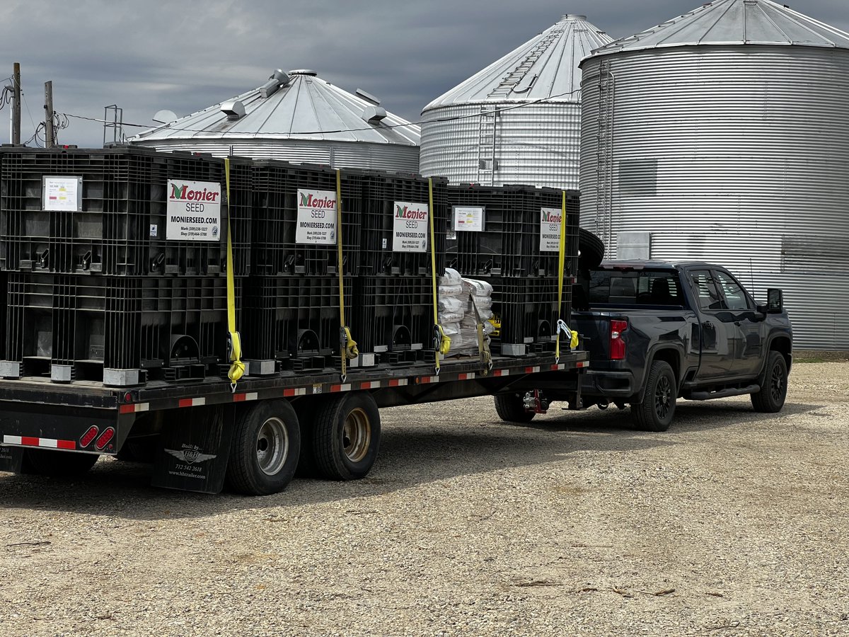 FoulkShay's tweet photo. Timely seed deliveries are our top priority at Monier Seed! Count on us for efficient and reliable service tailored to your farm's needs. 🚚🌱 #SeedDelivery #ExceptionalService https://t.co/c10YLqhoDh