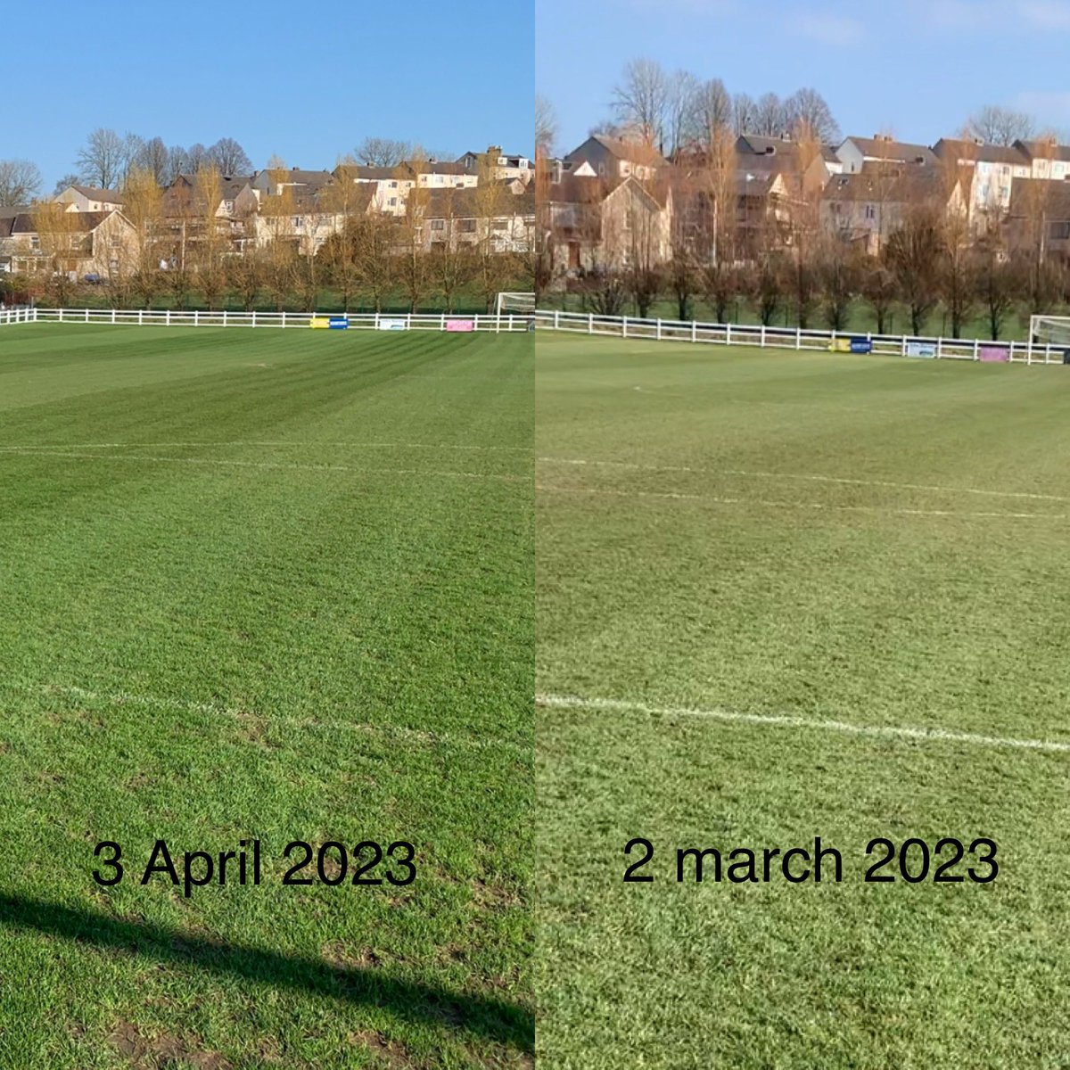 Ian phippen tweet media