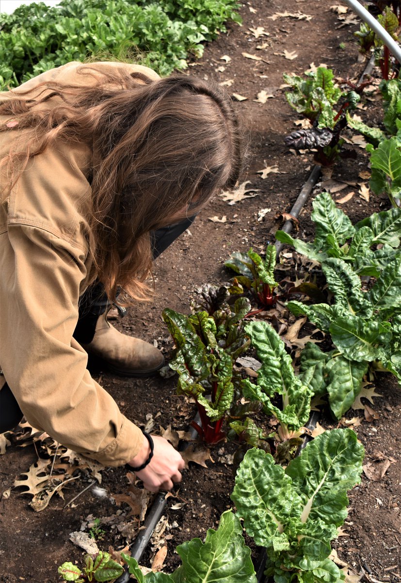 Citizenship & Service-Learning tweet media