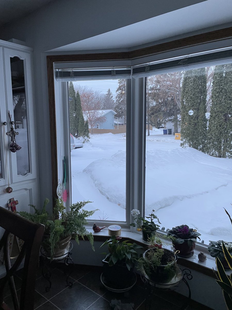 ballantyneart's tweet image. When I saw this at 6: 45 am I just wanted to 🤬, I didn’t though 😂 and eventually the sun came out. -9c , last April 3 was plus 9c. #notspringyet #6monthswinter #Northpole 🇨🇦