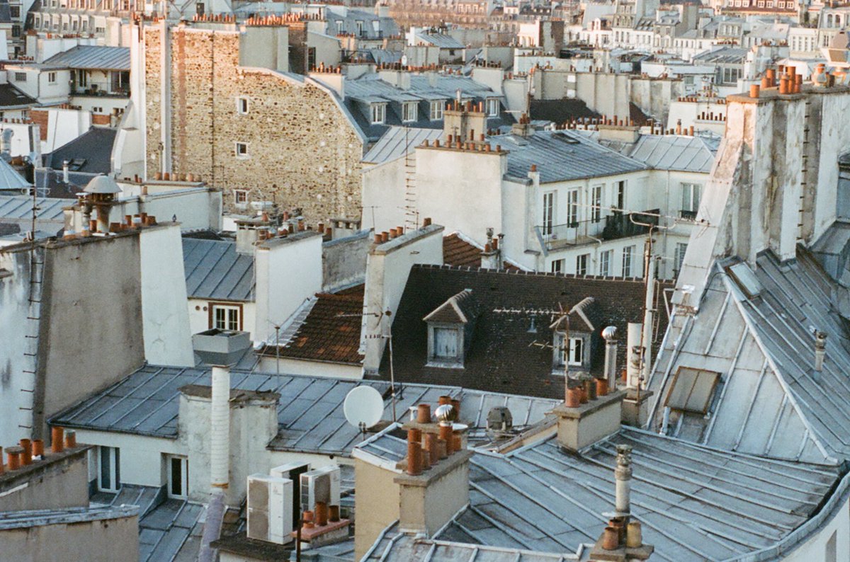 sofiamjadavji's tweet photo. film from paris https://t.co/GDAC3aiMl9