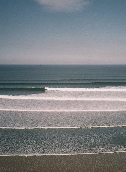 tiziana campodoni  (@tizianacampodon) on Twitter photo 