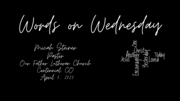 LutheranEd's tweet photo. 1 Kings 19 is the basis of today's Words on Wednesday video by Rev. Micah Steiner. To hear his words of encouragement for you, go to https://t.co/F3pW6KwmxL #lea #WOWvideo #micahsteiner https://t.co/NF0XojQHbW