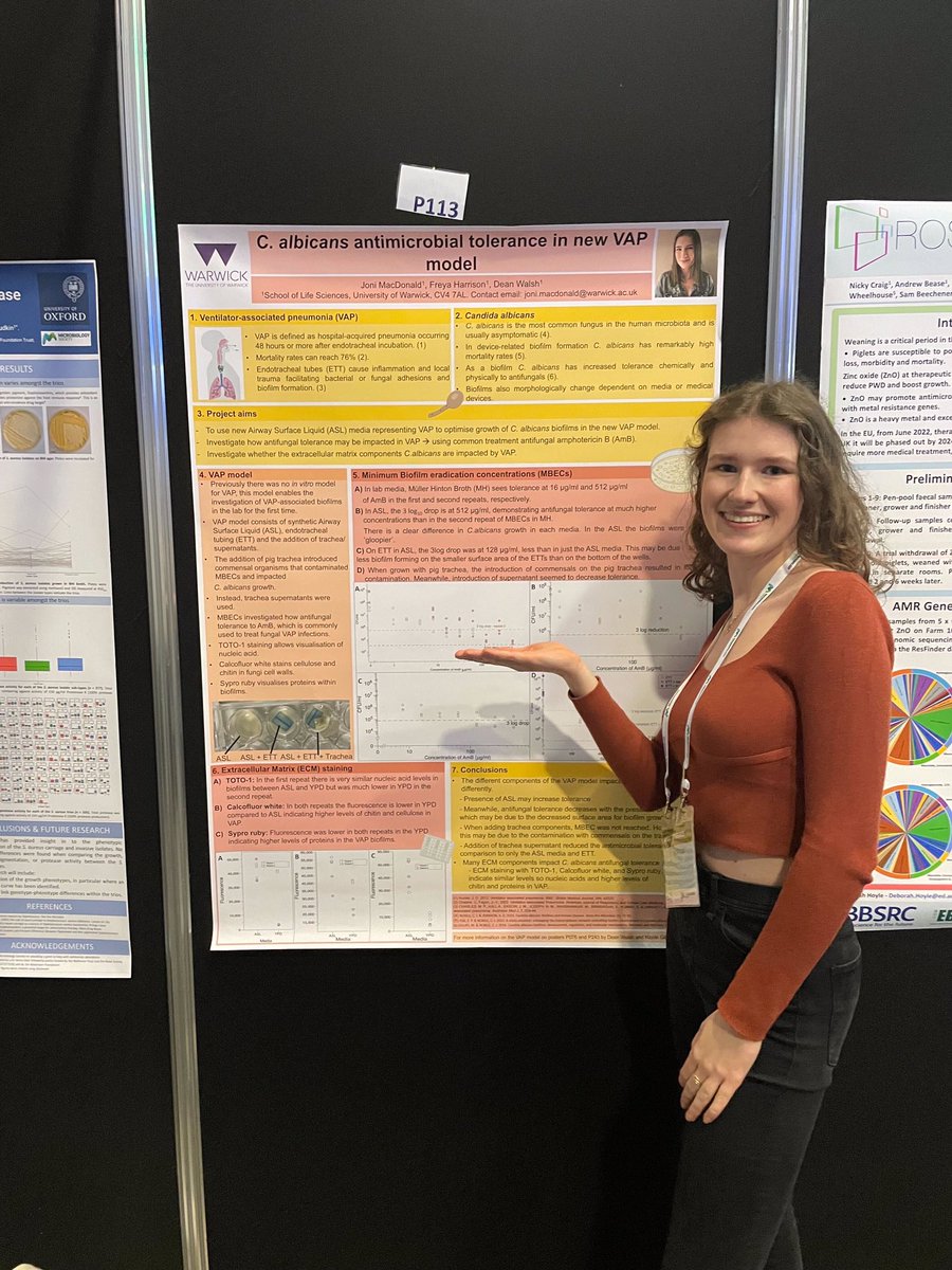 friendlymicrobe's tweet photo. A fab crop of group posters in block A at #microbio23 - last chance to view today! https://t.co/qfd3khuvwn