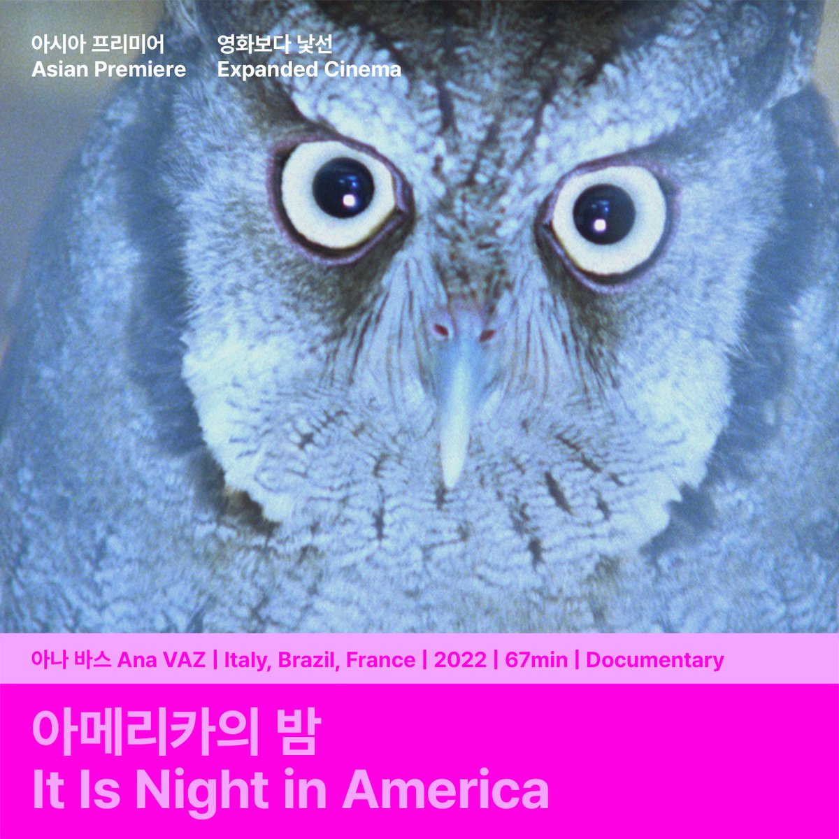 🎬인간 육체의 꽃 | 헬레나 위트만 🎬아메리카의 밤 | 아나 바스 🎬마지막 것들 | 데보라 스트라트맨Translate post