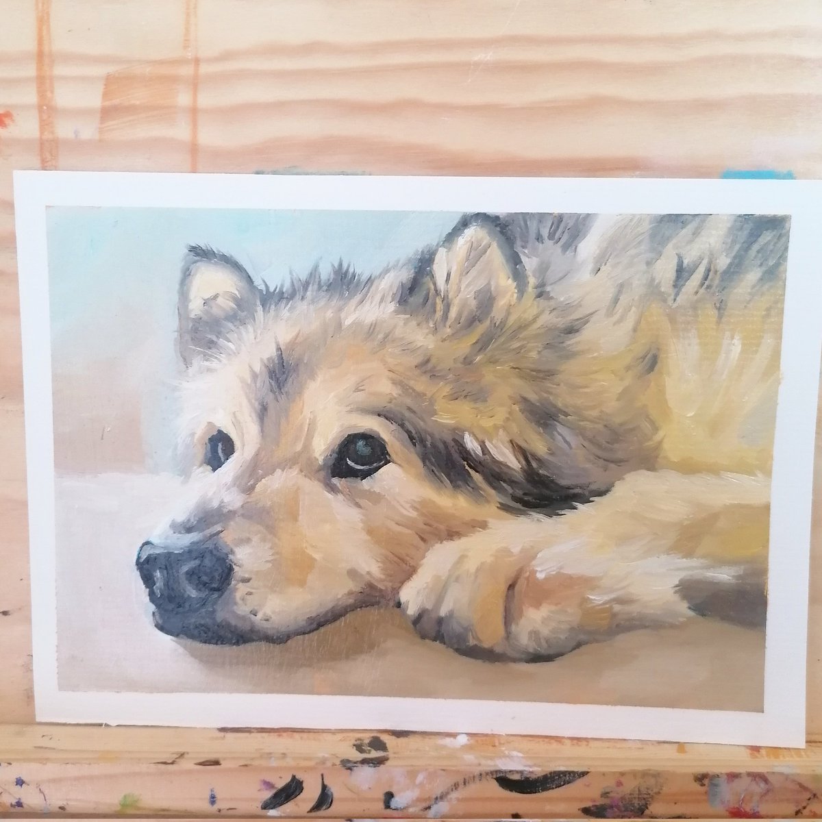 The evolution of my paintings of Kobi the Malamute🐶

First ones were done in October and November 2021 and the most recent just last month