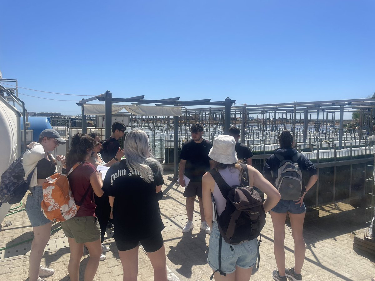 Michelle McKeown tweet media