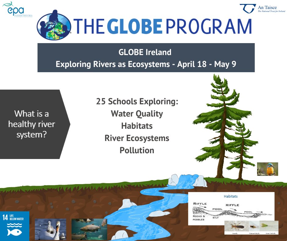 GLOBE Ireland schools will begin examining their local rivers and streams today to ask: how healthy is my local river? Student #citizenscientists will measure, observe, & record. We can't wait to see the results. #WaterQuality #biodiversity