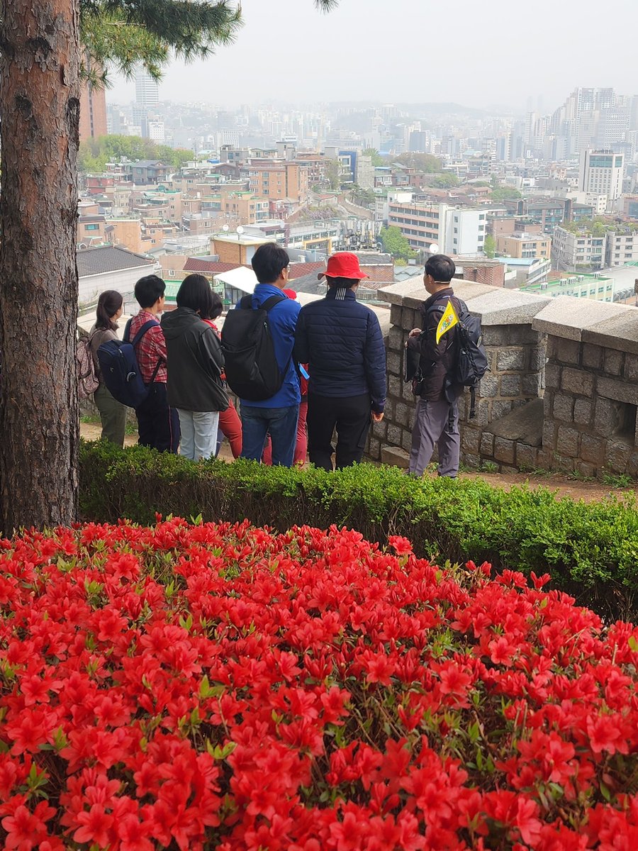 도성길라잡이 tweet media