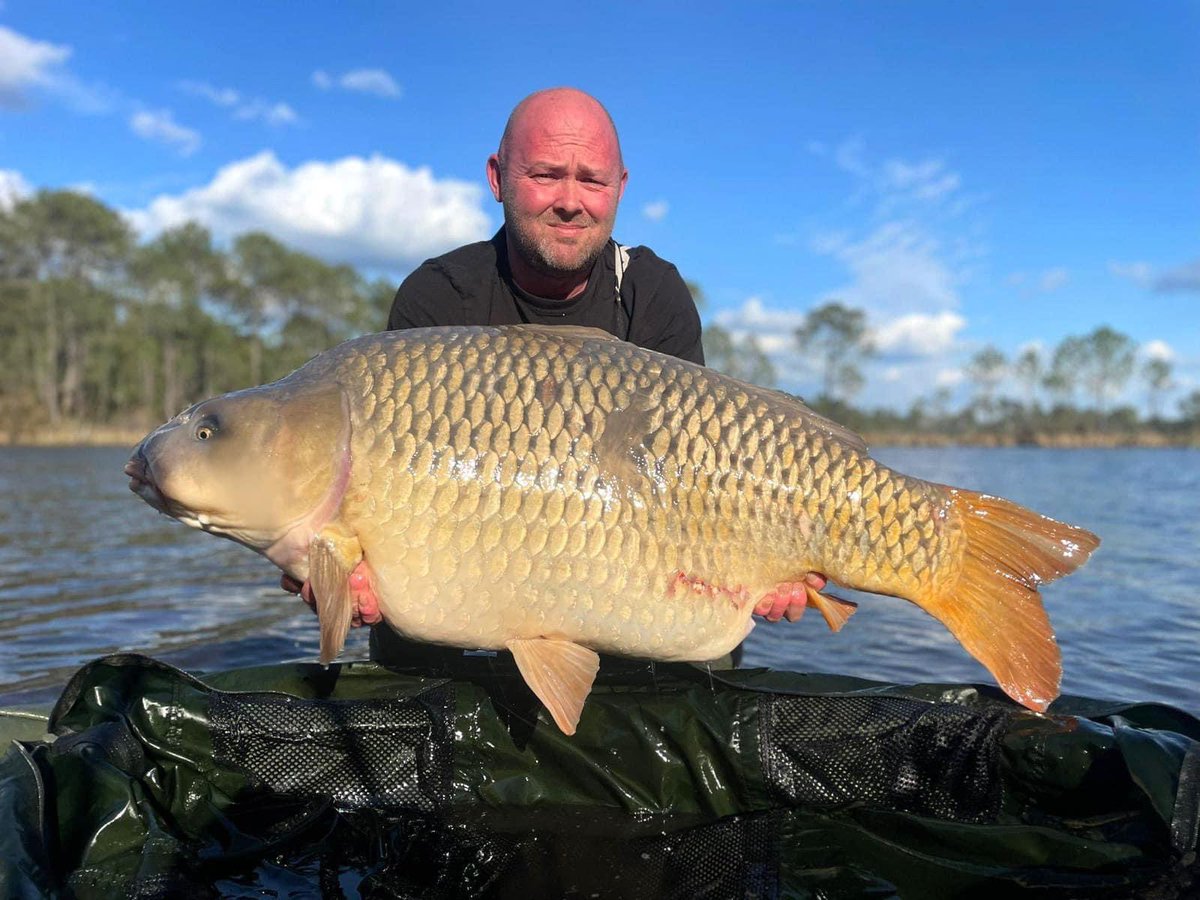 KARPER LTD tweet media