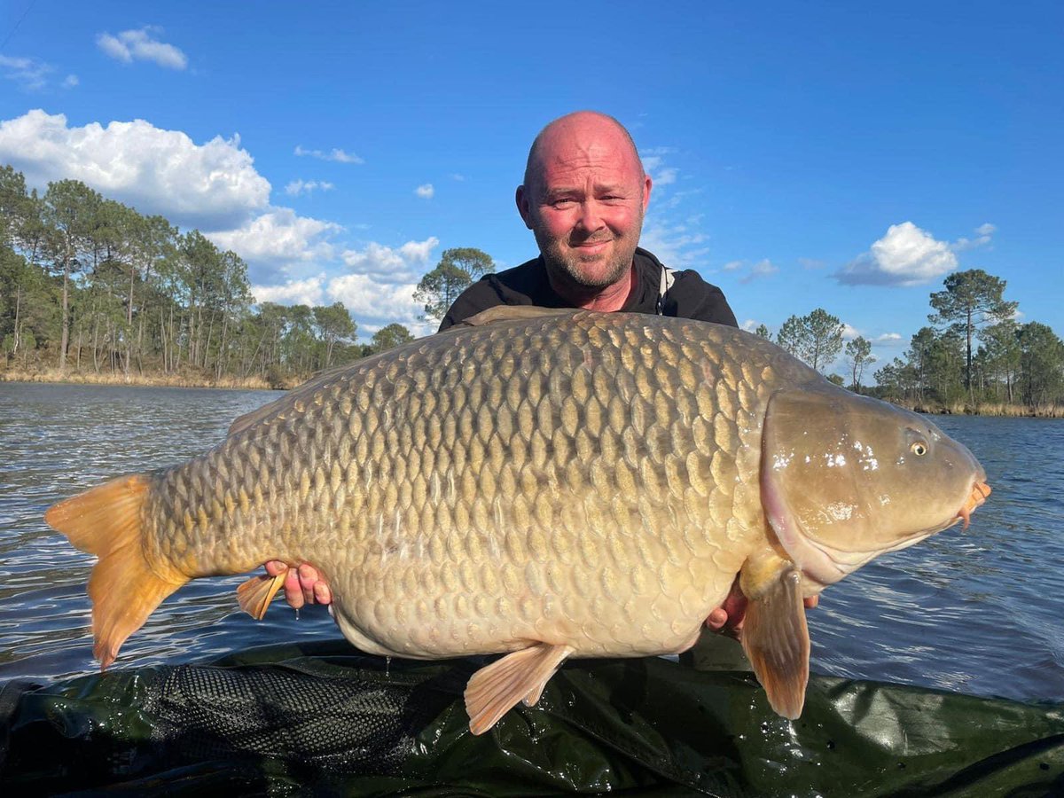 KARPER LTD tweet media