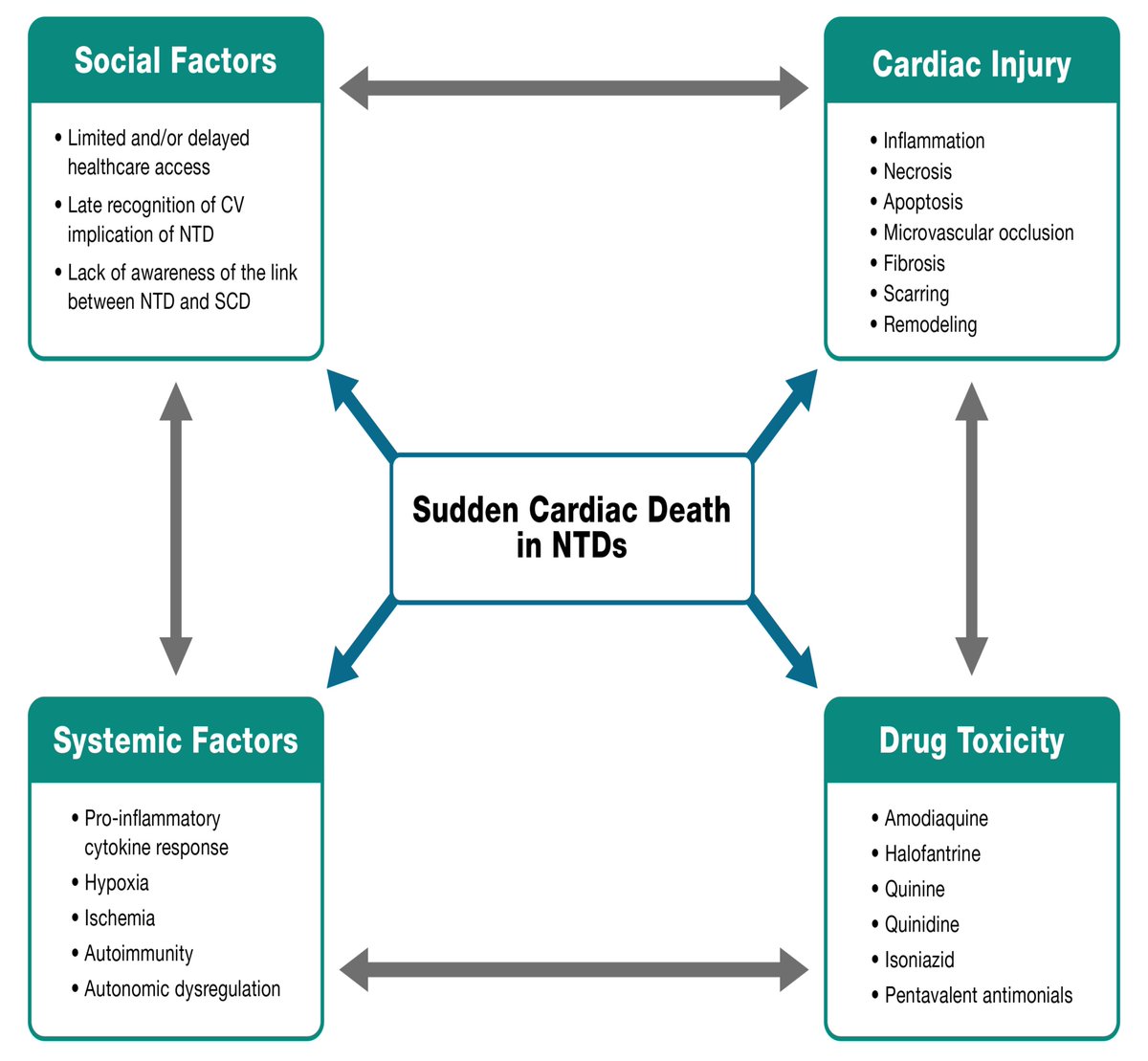 #RCM Special Issue-Sudden Cardiac Death in Special Population (2/5)

🌟Neglected Tropical Diseases and Sudden Cardiac Death: The NET-Heart Project
from <a href="/andres_miranda4/">Andres F. Miranda-Arboleda</a>, <a href="/liblikiera/">Kiera Liblik</a>, <a href="/JuanM_Farina/">Juan Farina</a>, <a href="/clara_clarais/">clara saldarriaga</a>, <a href="/asosaliprandi/">Alvaro Sosa Liprandi</a>, <a href="/adribaran/">Adrian Baranchuk MD FACC FRCPC FCCS FSIAC</a> et al.

#SCD
🔎
imrpress.com/journal/RCM/23…