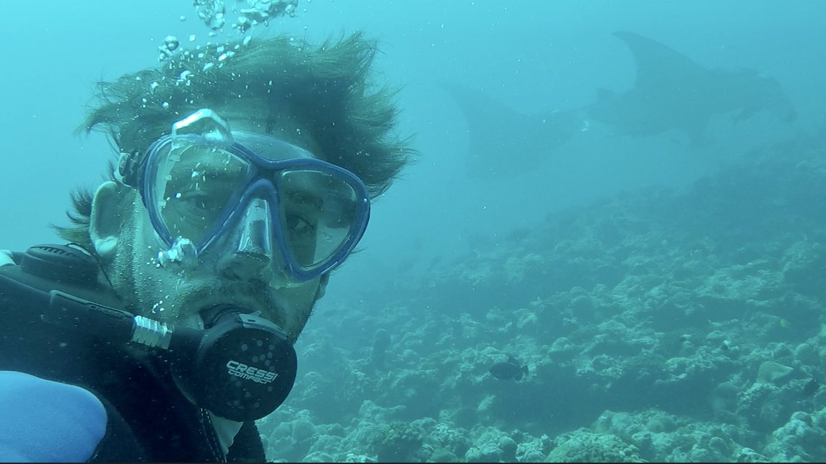 Sunrise &amp; Sunset Yoga…. Scuba Diving with Sharks &amp; Manta Rays in the Maldives…
Will very much miss this! 
🧘🏻‍♂️🤿💦❤️🙏🏼🏝️☀️😌
#CoraCoraMaldives
<a href="/visitmaldives/">Visit Maldives</a> 
<a href="/bluemoonescapes/">bluemoonescapes</a> <a href="/PADI/">PADI</a> <a href="/PADI_Travel/">PADI Travel</a> #yoga #scubadiving