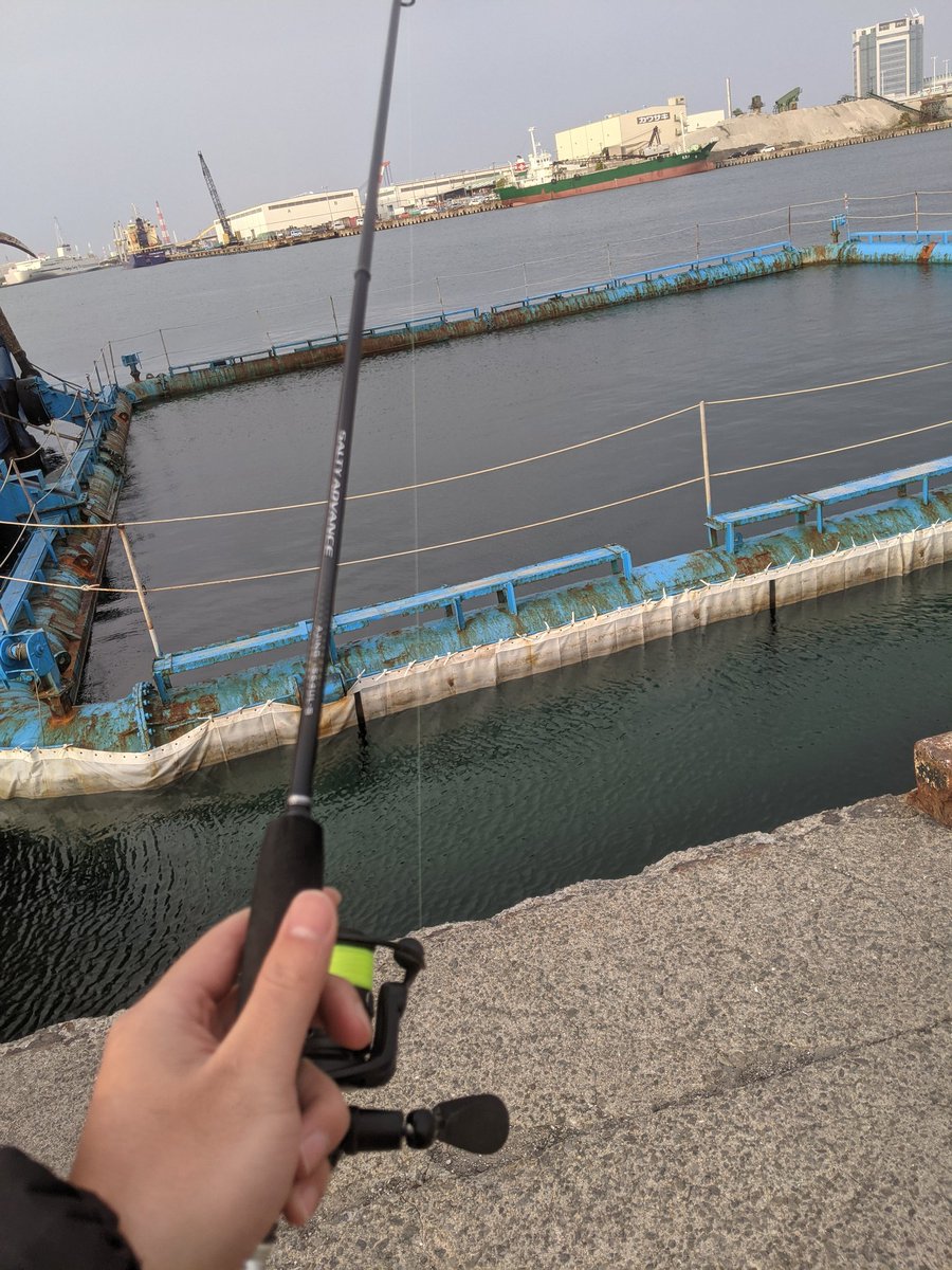 erunyny's tweet photo. 気付けばまた海へ来てしまいました。

🐟🐟🐟 https://t.co/4ddIysJq34