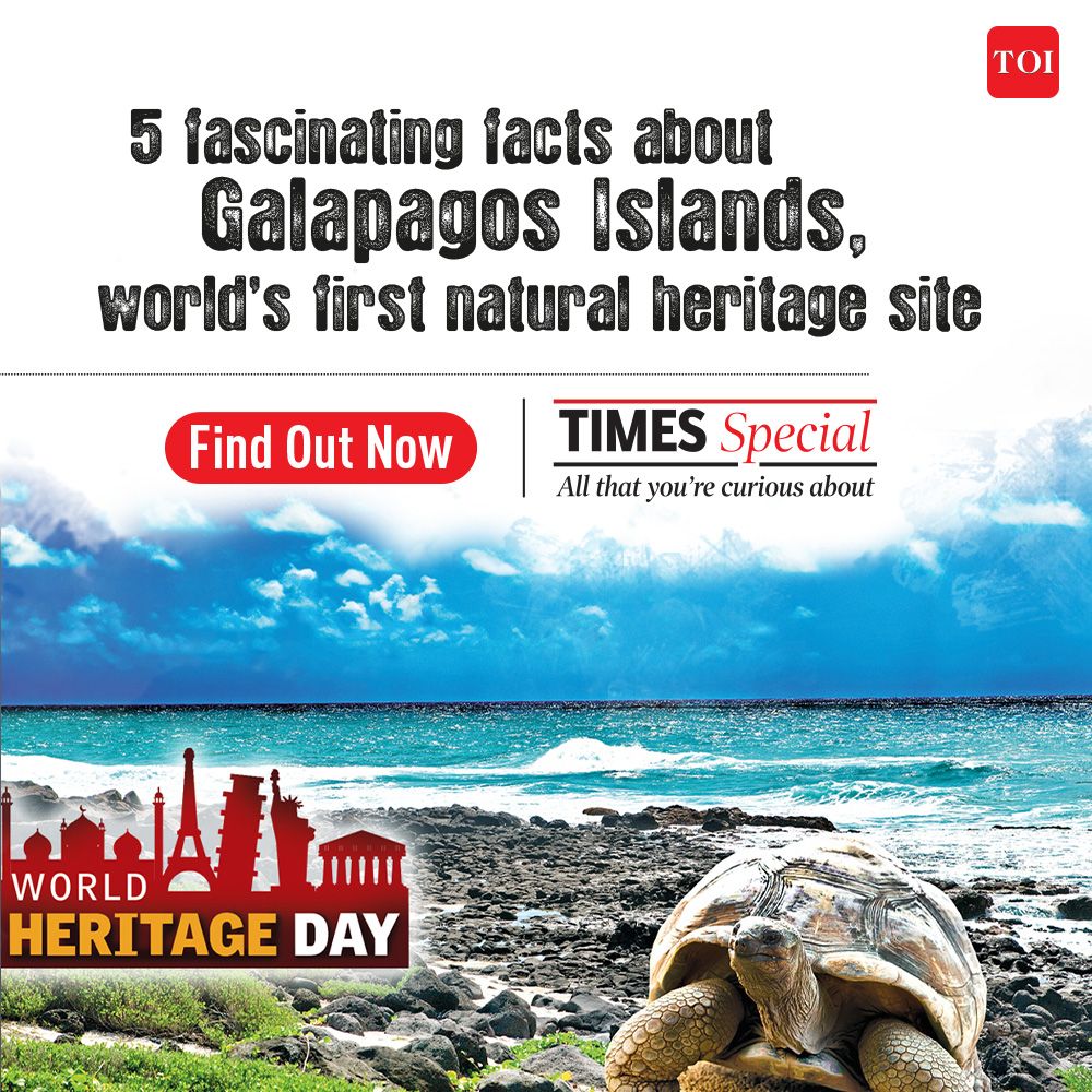 As we celebrate #WorldHeritageDay, #TimesSpecial brings you five fascinating facts about the world’s first natural heritage site - the Galapagos Islands. Click now to read or listen: bit.ly/3UJRWV0

#GalapagosIslands