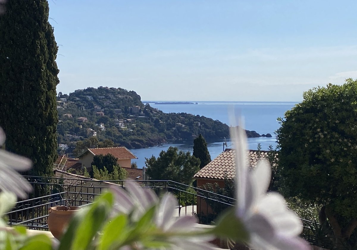 IimmooA's tweet photo. ©️copyright; @iimmooalliance
Good morning ☀️😎🏝️
#cotedazur #cannes #theoulesurmer #theoule #VisitCotedazur #CotedAzurFrance #AlpesMaritimes #Département06 #letrayas #MassifdelEstérel #VisitEsterel #esterelcotedazur #coteprovence #provence #beautiful_frenchriviera https://t.co/gi01TE11dN