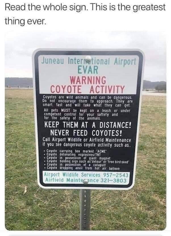 Lizzie Fry on Twitter 