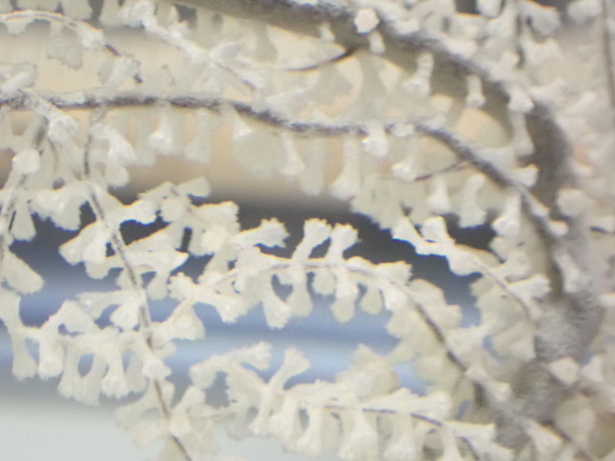 Dr Michelle Taylor tweet media