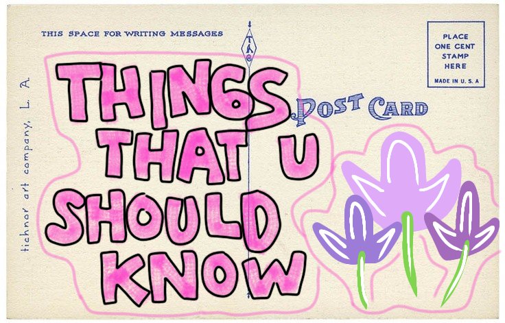 michevious's tweet image. hi #studytwt I'm new here and looking for study buddies who's still struggling on studying utbk!!!! ^_^

☆ fatya, she/her
☆ 12th grade 
☆ 2005 gang 
☆ sasindo undip²³
☆ apparently, like kpop n thai! 

retweet &amp;amp; like to be moots!
[#AMBISVERSE #ambistwt]