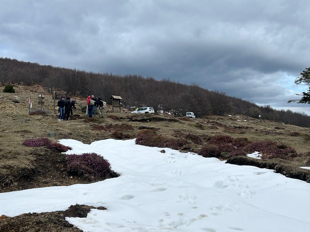 PARCO_AVETO's tweet photo. Sole, neve, uno spettacolare balcone sul mare dai 1500m di #PratoMollo e poi l'accoglienza del #RifugioMonteAiona appena riaperto #parcoavetosifabello grazie agli amici di #LineaVerdeSentieri @RaiUno, al lavoro ieri sui ns sentieri, in un giorno primaverile dal meteo "pazzerello" https://t.co/5KQ9C9tTnC