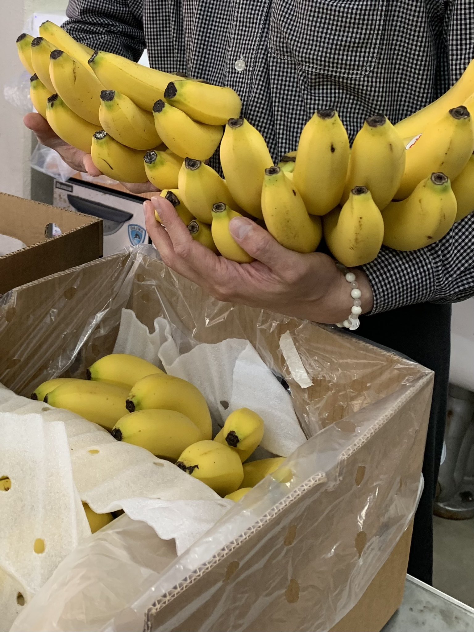 ばなな様 ばなな - Search / X