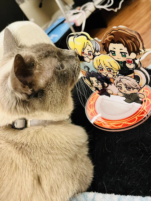 MY HELPURR 
