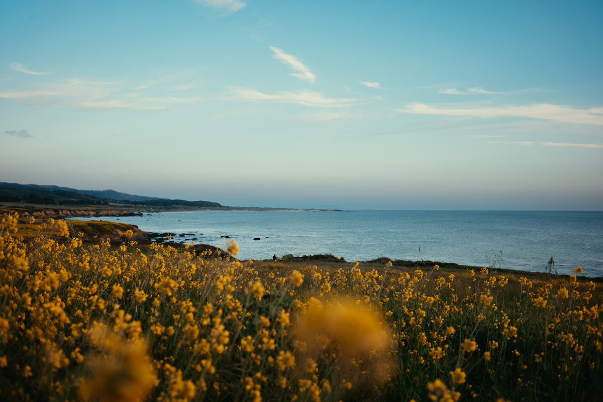 The coast is pretty this time of year 

Shot on Leica M10
