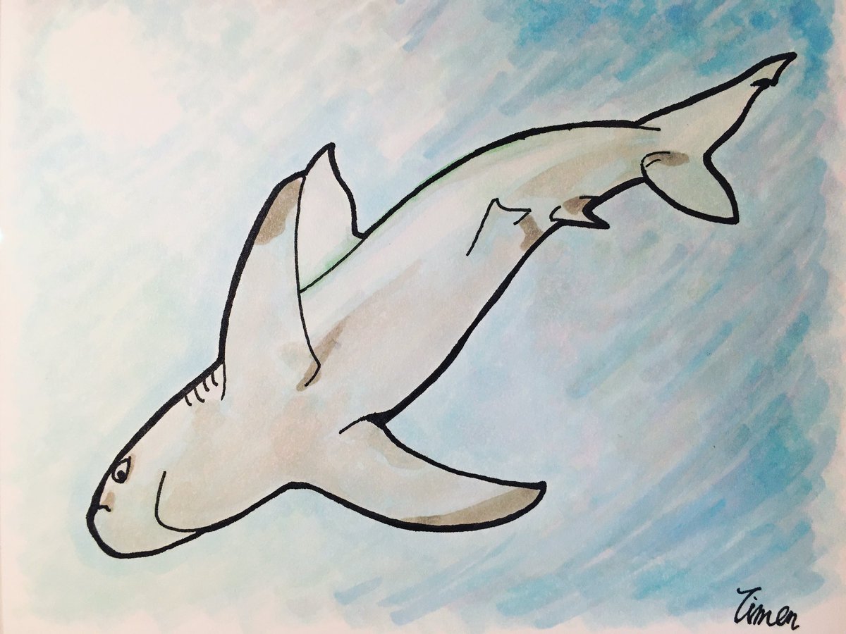 6x25's tweet photo. 下からのフォルムも美しい

#サメ #さめ #鮫 #shark #絵 #イラスト #illustration https://t.co/HpRGnXVJsM