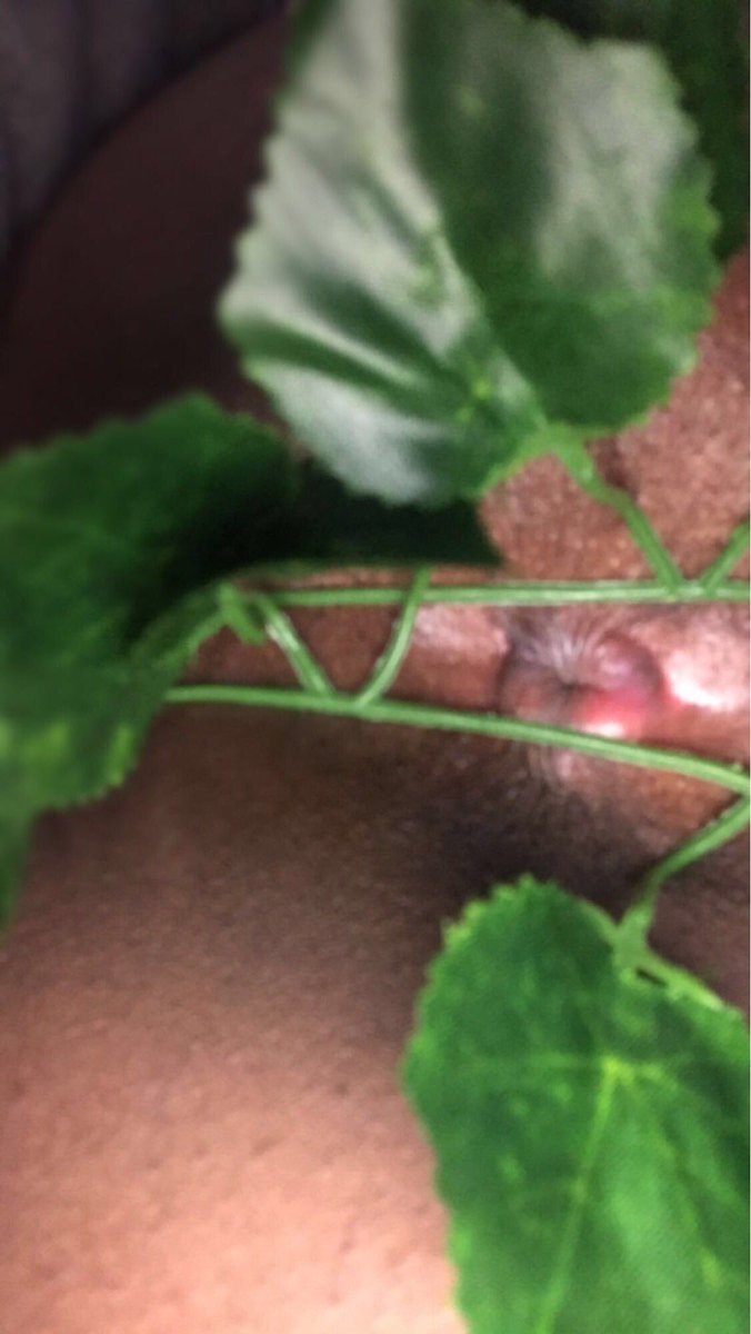 Baddie2Freaky's tweet photo. | • 𝕀 𝕤𝕒𝕚𝕕, “𝕎𝕙𝕒𝕥 𝕪𝕠𝕦 𝕝𝕚𝕜𝕖 𝕒𝕓𝕠𝕦𝕥 𝕞𝕖” • |

| • ℍ𝕖 𝕤𝕒𝕚𝕕, “𝕋𝕙𝕒𝕥 𝕪𝕠𝕦𝕣 🍑 𝕗𝕒𝕥” • |

| • 𝔻𝕚𝕕 𝕙𝕖 𝕝𝕚𝕖? 😜 • | https://t.co/EShmMXhnJT