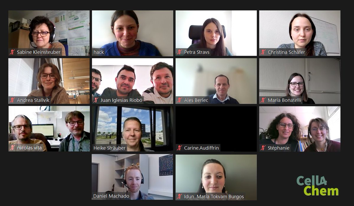 TILES and TALKS
Yesterday we met online for the 2nd #Cell4Chem mid-term meeting. It was all about exchange and discussion of results and thoughts. Though it looks the other way round: It was a lot of thinking outside the box. Thanks to everyone who contributed and participated!