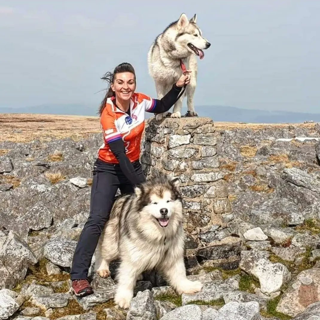 ashermarley's tweet image. It's 87 years today since the start of Ordnance Survey re triangulation of Britain. Happy 87th Birthday to the Trig Point! @OSleisure #trigpoint #trigpillar Ordnance Survey #GetOutside find out more about trig points here 👉 inspireadventurewales.weebly.com/os-trig-pillar…