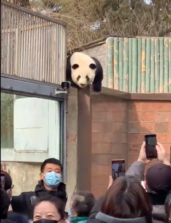  iPhone 6の発売が近づくにつれ、米国の顧客は当然のことながら新しいiPhoneの購入を遅らせる