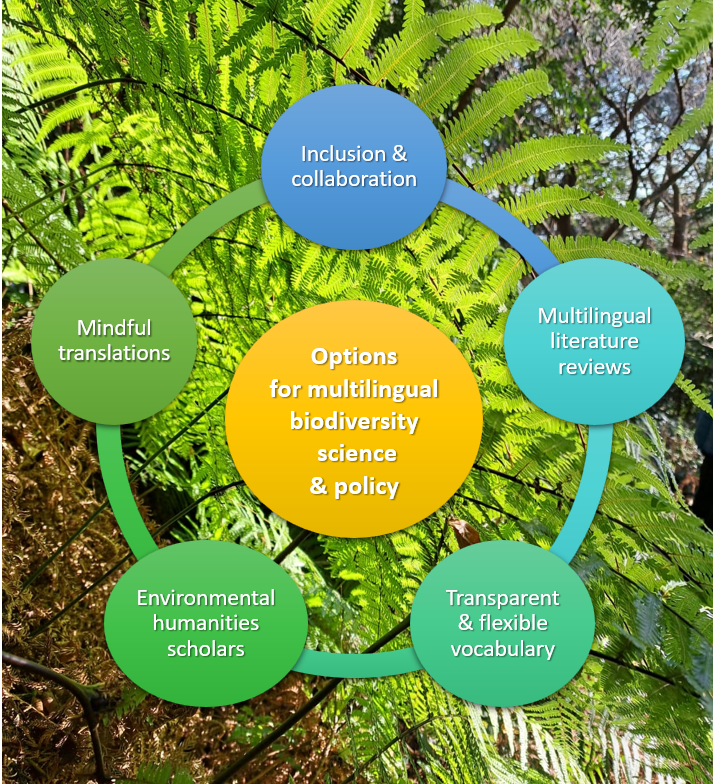 🌸How to take a #multilingual approach in the sources & processes of #science-policy interfaces for efficient #biodiversity governance?

🌊We propose 5 options for action incl. #environmentalhumanities🌱

Read our new paper w/@unaipasku @BC3Research
➡️besjournals.onlinelibrary.wiley.com/doi/10.1002/pa…