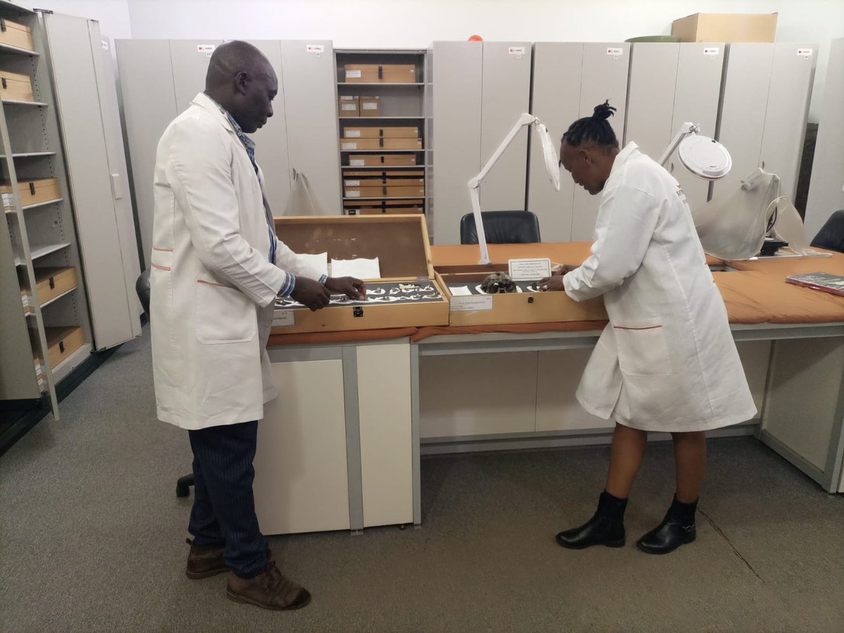 Rahab Kinyanjui tweet media