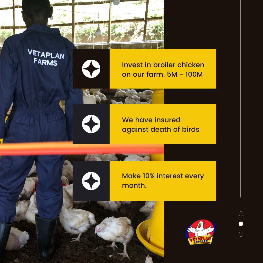 Invest in a smart way in broiler poultry with @vetaplanchicken 
Contact +256700133004 of inquires. 
Read more on the flyer below✍️
#VetaplanChicken 
#DigitalFarming