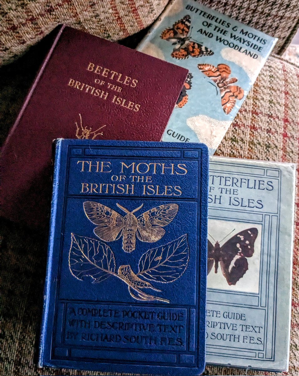 TheDearestBook's tweet photo. I love crawling through old bookshops and uncovering lovely new finds for forever shelves. 
https://t.co/LJFkWVLDlM

#collectiblebook #vintagebooks #booksforsale #bookshop #harrogate #smallbusinessuk https://t.co/O5y06AIQR3