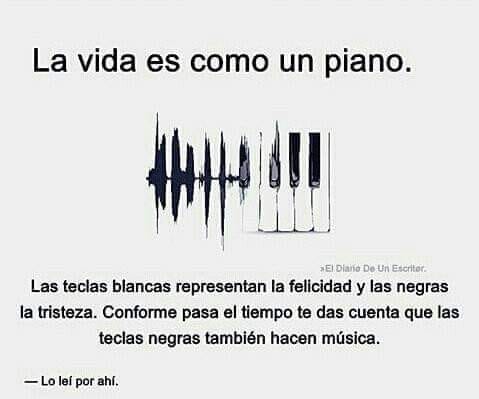 RincnCuriosoo's tweet photo. https://t.co/cSZ4ZAuA8s