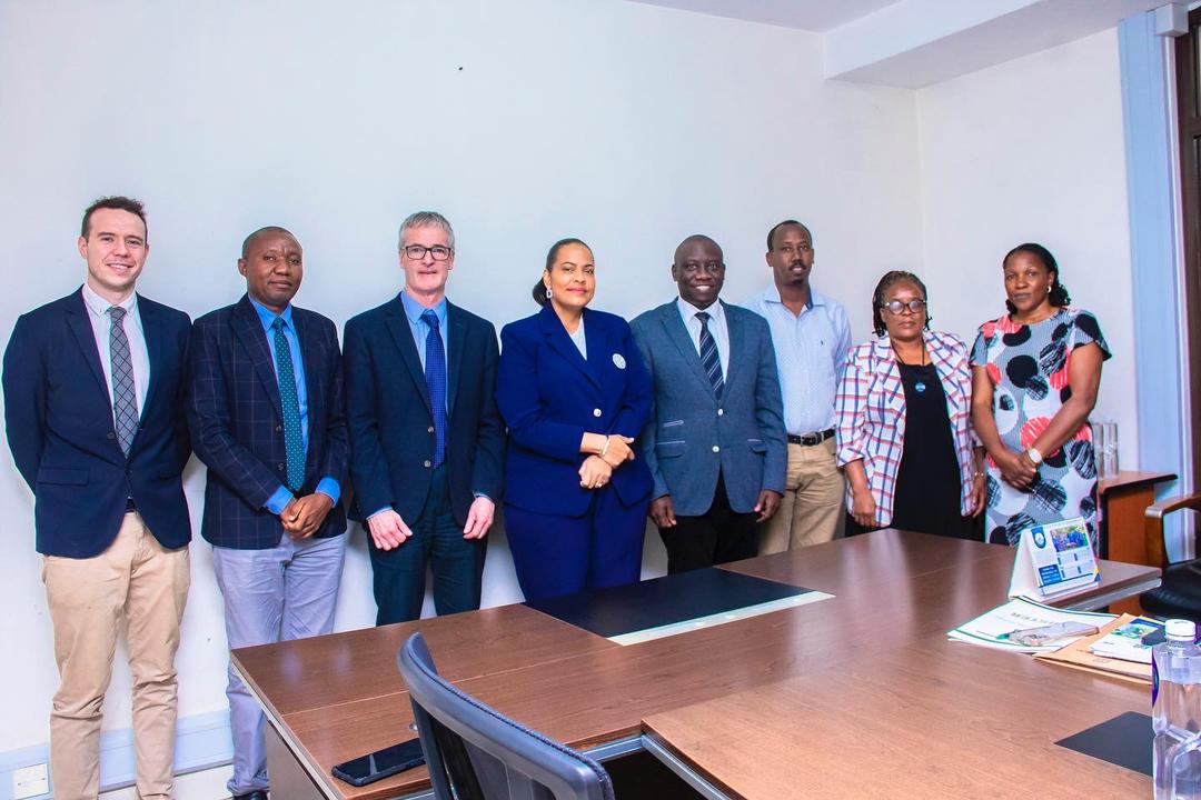 Irish Embassy Dar tweet media