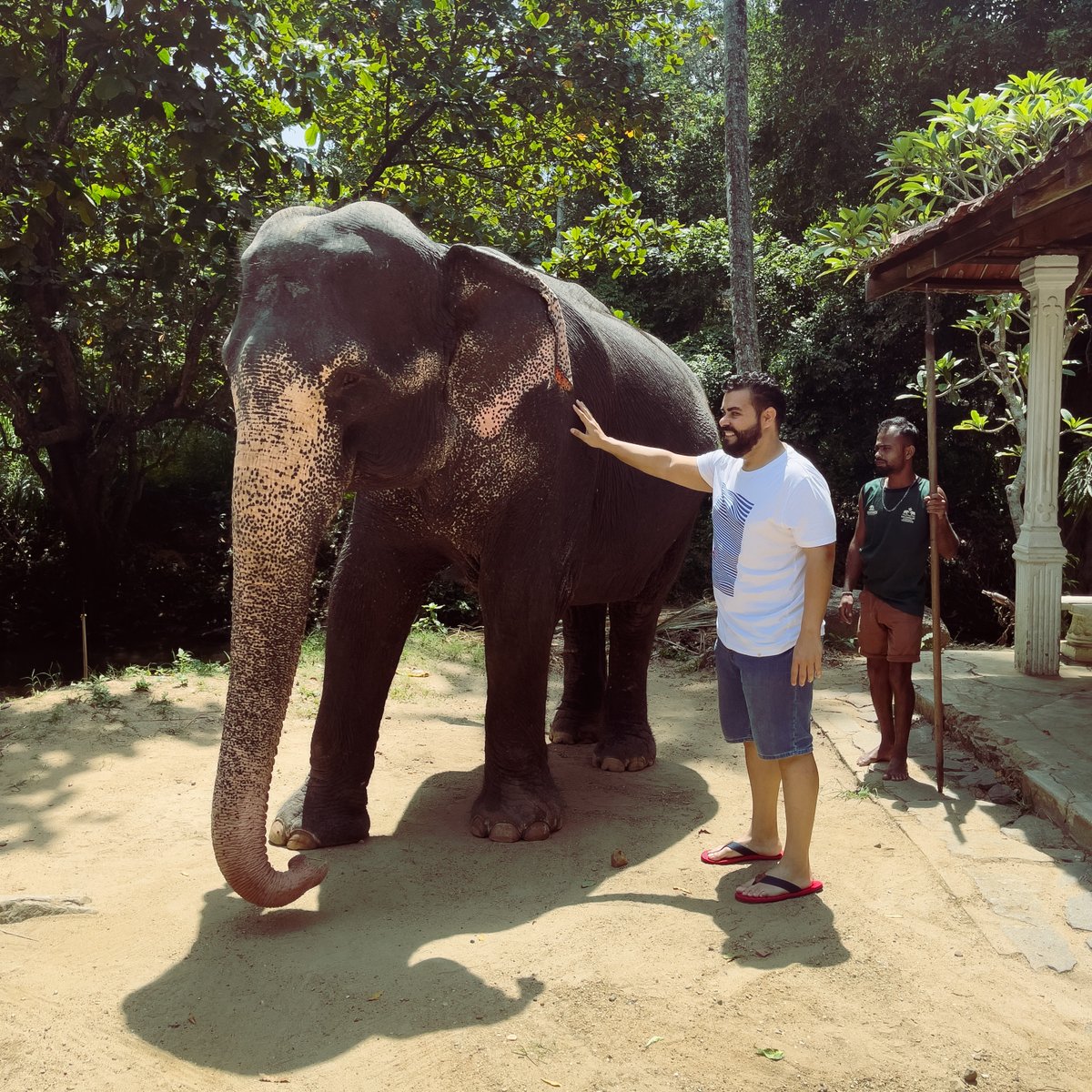 ø — Ocellum❞ tweet media