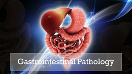 EvansLouise01's tweet photo. They are the most common problems affecting the GI tract (including the colon and rectum). Constipation, irritable bowel syndrome (IBS), #nausea, #foodpoisoning, #gas, bloating, GERD and #diarrhea
#conferenceseries https://t.co/S2lkdKPmkO