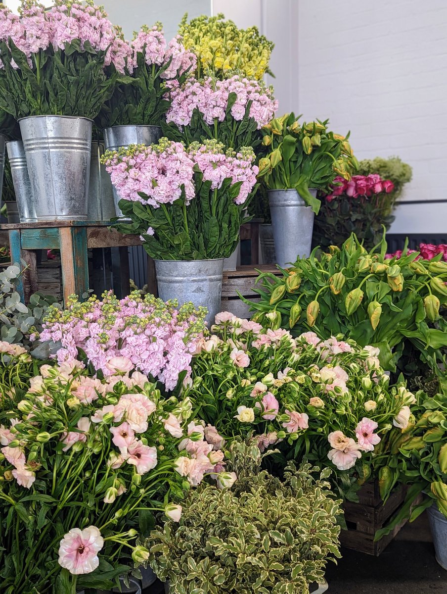 markbwwelford's tweet photo. Loving today's selection of flowers that the students will be working with... #floralsforspring #mcqueensflowerschool https://t.co/2OjhXDdx18