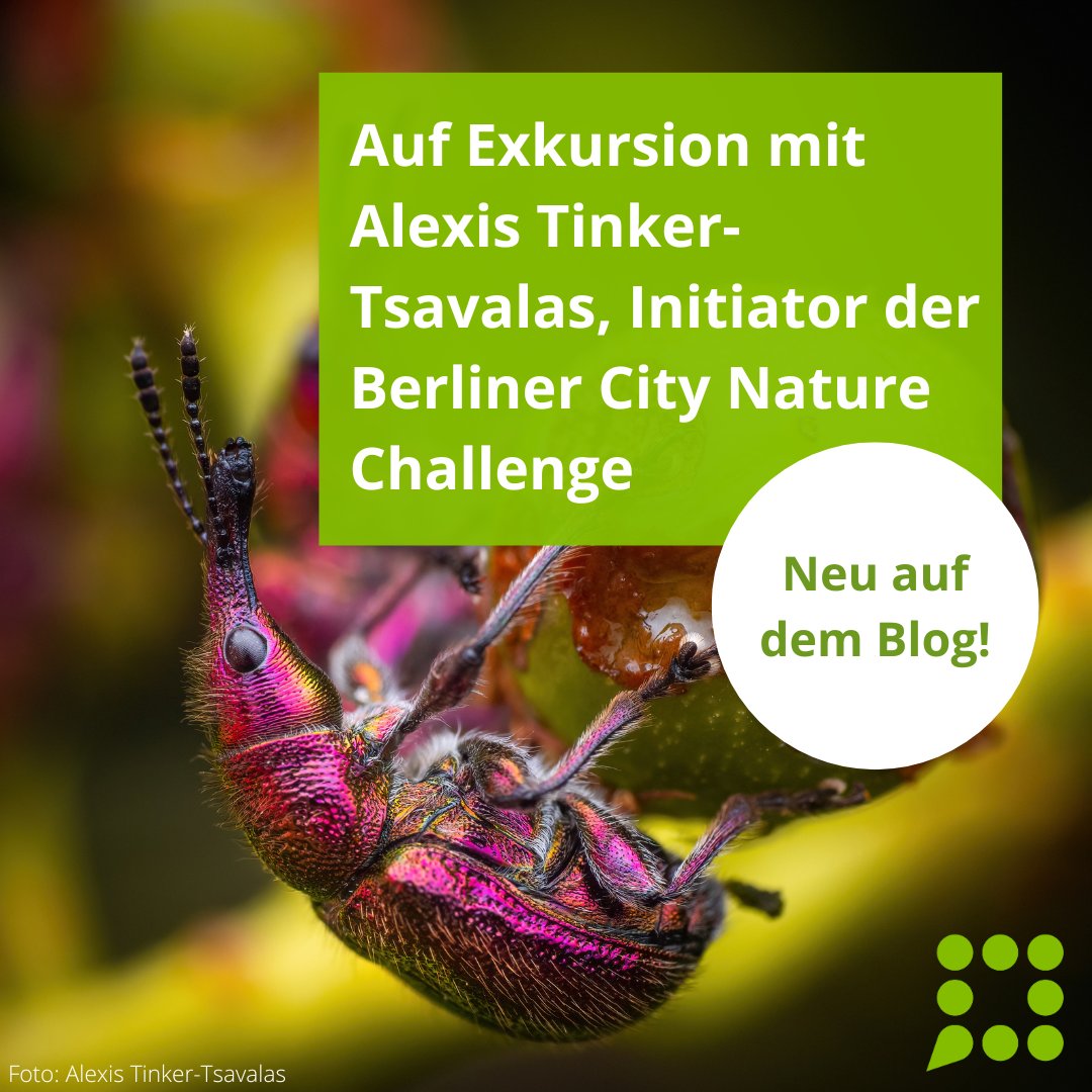 Viele junge Menschen engagieren sich im Bereich #CitizenScience. Einer von ihnen ist Alexis Tinker-Tsavalas. Unsere Autor*innen Moritz Müller, <a href="/fg_wild/">Frederic Griesbaum</a> und @Julia_Rostin haben den Initiator der Berliner @citnatchallenge auf eine Exkursion begleitet: buergerschaffenwissen.de/blog/auf-exkur…