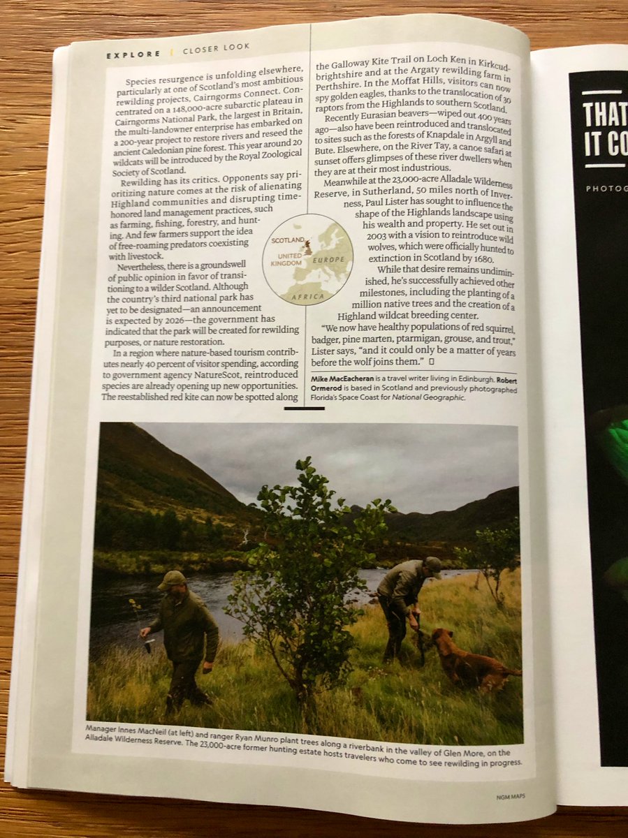 Mike MacEacheran ✍️ tweet media